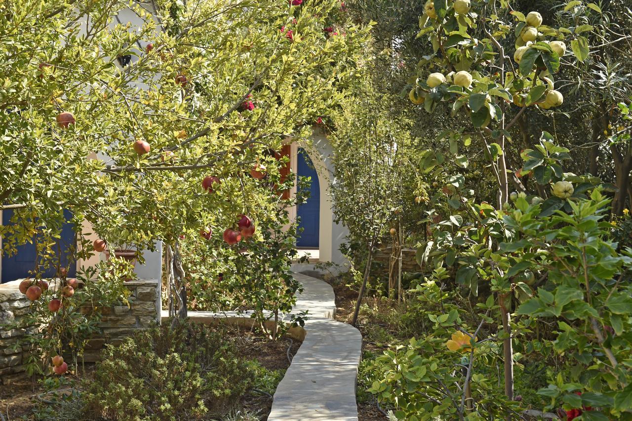 Hippocampus Studios Antiparos ciudad Exterior foto